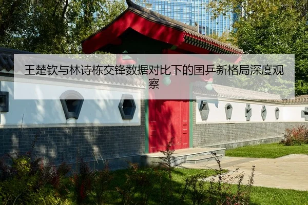 王楚钦与林诗栋交锋数据对比下的国乒新格局深度观察